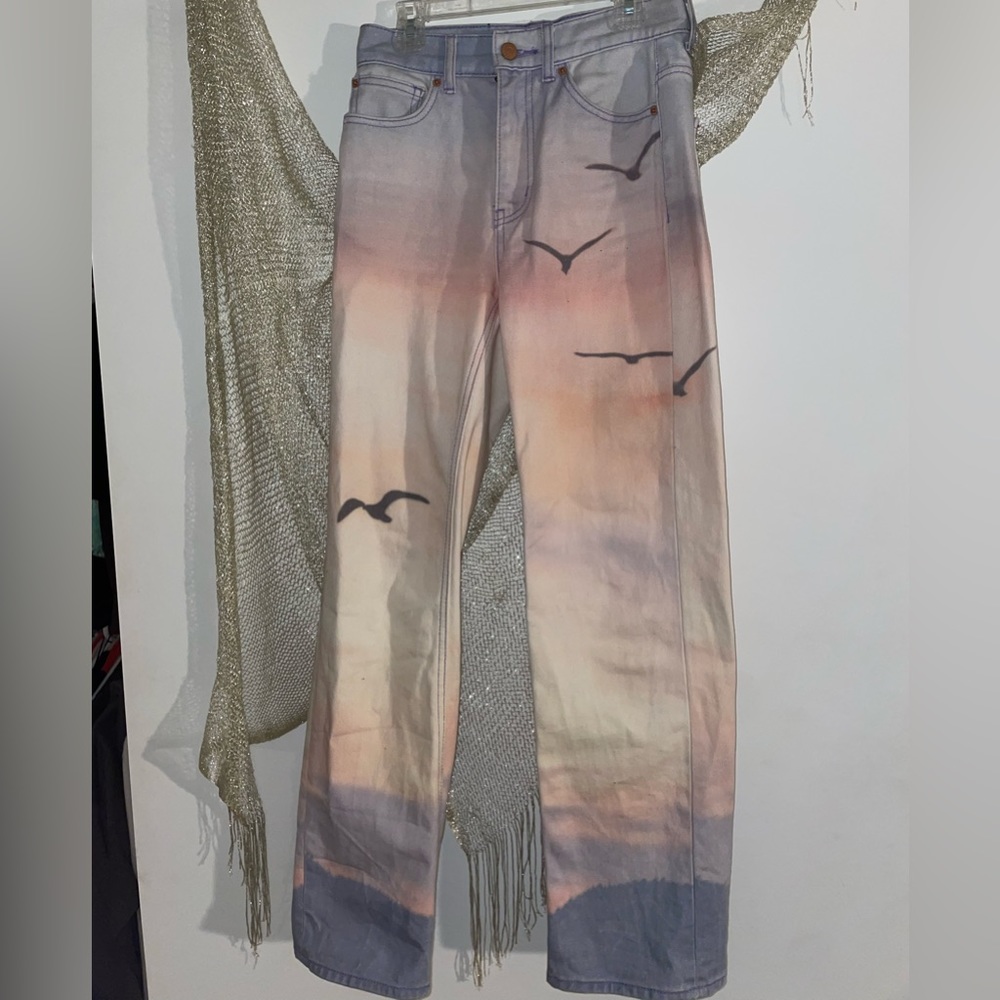 Urban Outfitters Cowboy Jeans